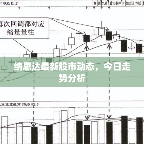 纳思达最新股市动态，今日走势分析