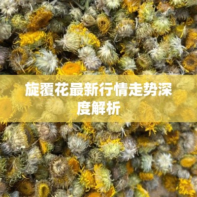 美轮美奂 第2页