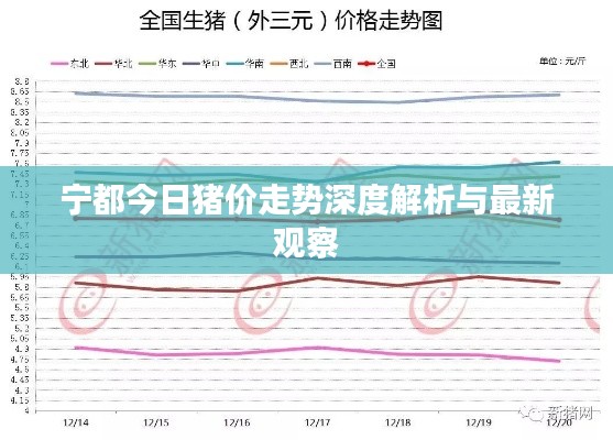 肝胆相照 第2页