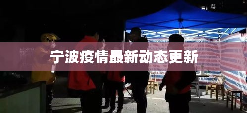 宁波疫情最新动态更新