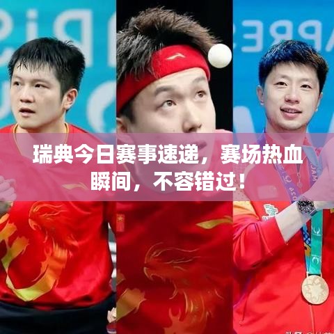 瑞典今日赛事速递，赛场热血瞬间，不容错过！