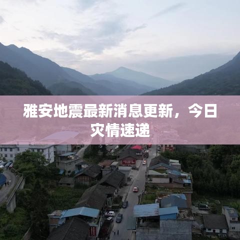 雅安地震最新消息更新，今日灾情速递