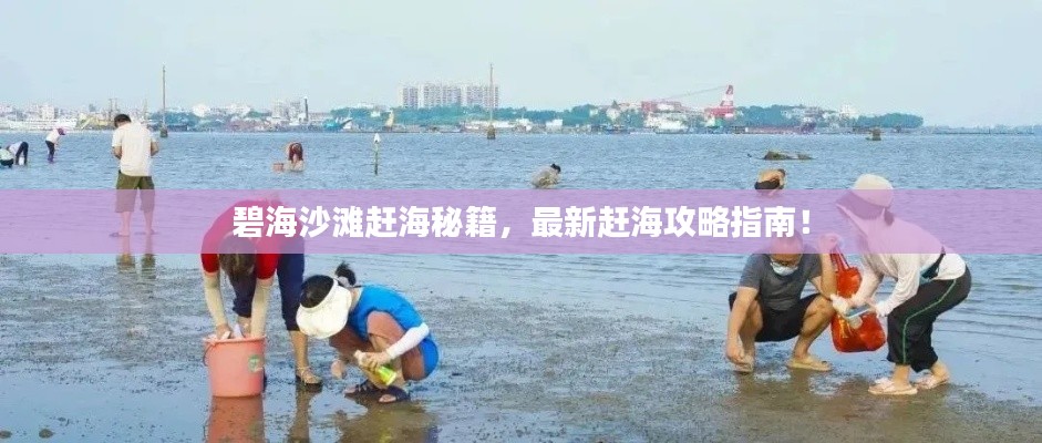 碧海沙滩赶海秘籍，最新赶海攻略指南！