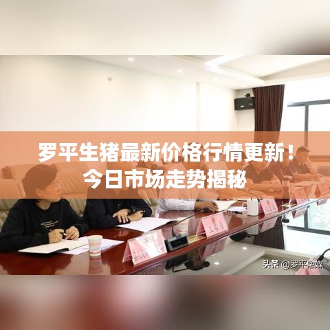 慌慌张张 第2页