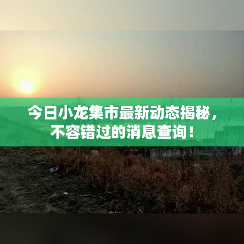 张狂妄行 第2页