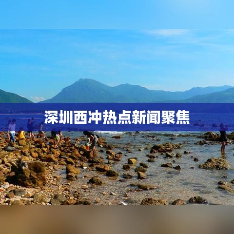 深圳西冲热点新闻聚焦