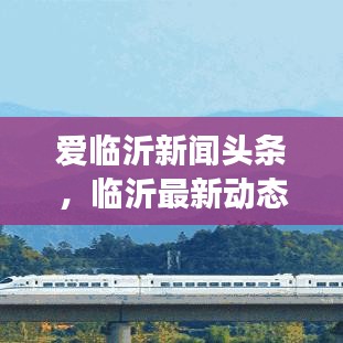 爱临沂新闻头条，临沂最新动态与发展大揭秘