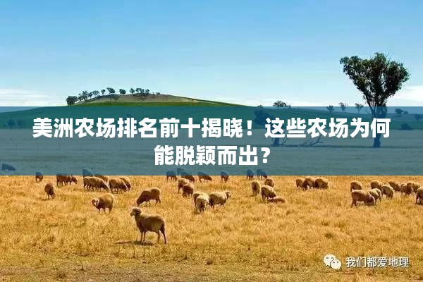 美洲农场排名前十揭晓！这些农场为何能脱颖而出？