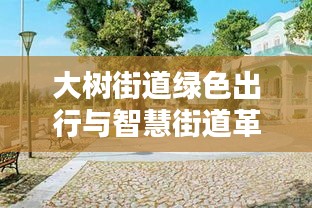 大树街道绿色出行与智慧街道革新报道