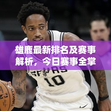雄鹿最新排名及赛事解析，今日赛事全掌握