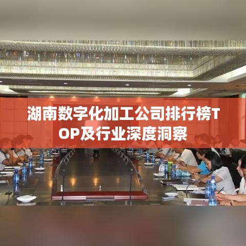 湖南数字化加工公司排行榜TOP及行业深度洞察