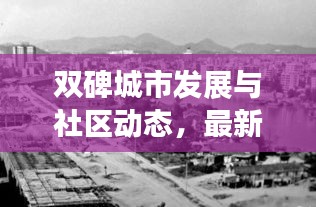 双碑城市发展与社区动态，最新头条新闻综合报道