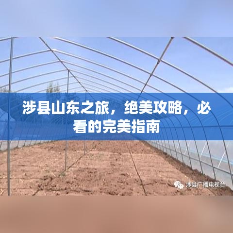 和为贵 第2页