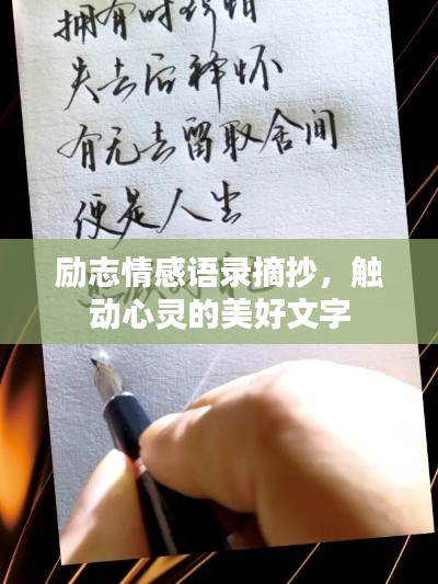励志情感语录摘抄，触动心灵的美好文字