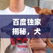 百度独家揭秘，犬类世界的璀璨明珠，探索名犬的奇妙世界