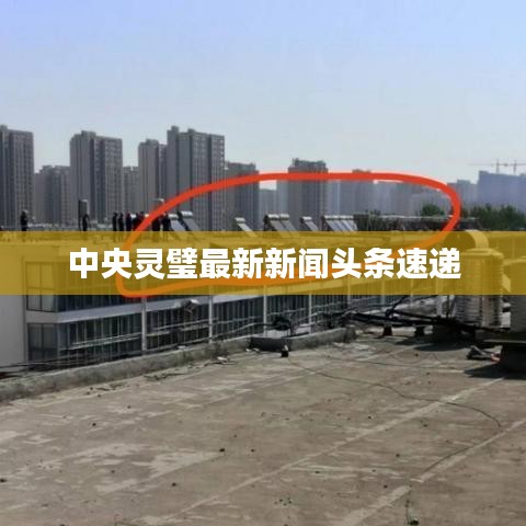 中央灵璧最新新闻头条速递