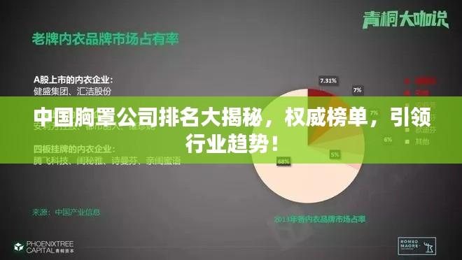 中国胸罩公司排名大揭秘，权威榜单，引领行业趋势！