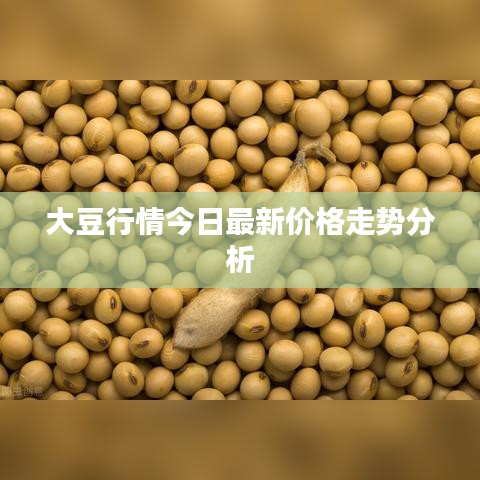 大豆行情今日最新价格走势分析