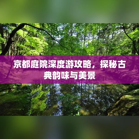 京都庭院深度游攻略，探秘古典韵味与美景
