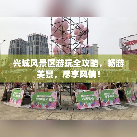 兴城风景区游玩全攻略，畅游美景，尽享风情！