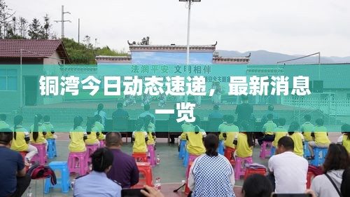 铜湾今日动态速递，最新消息一览