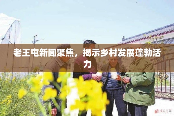 老王屯新闻聚焦，揭示乡村发展蓬勃活力