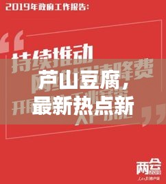 芦山豆腐，最新热点新闻聚焦