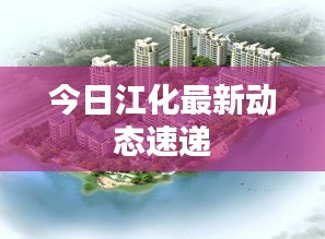 今日江化最新动态速递