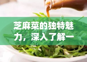 芝麻菜的独特魅力，深入了解一种独特食材的魅力与秘密！
