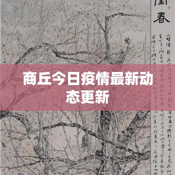 商丘今日疫情最新动态更新