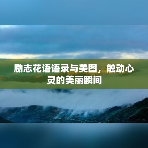 联系我们 第111页