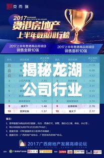 揭秘龙湖公司行业显赫地位，权威排名揭晓！