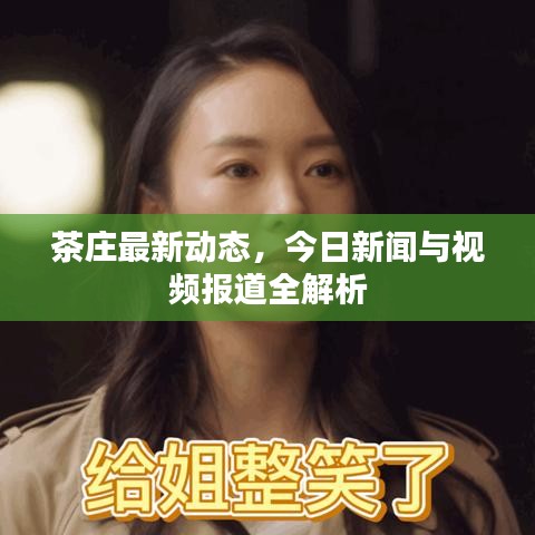 茶庄最新动态，今日新闻与视频报道全解析
