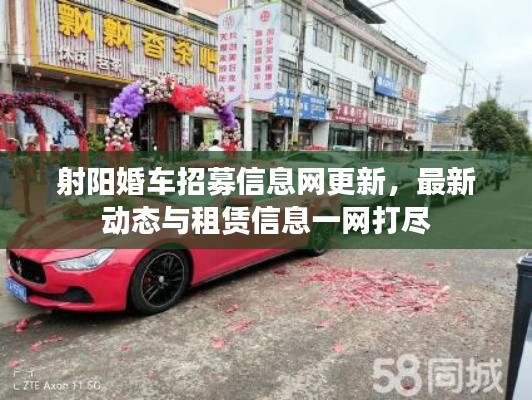 射阳婚车招募信息网更新，最新动态与租赁信息一网打尽