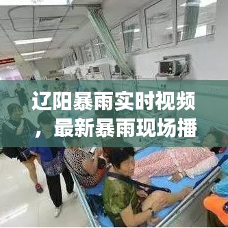 辽阳暴雨实时视频，最新暴雨现场播放