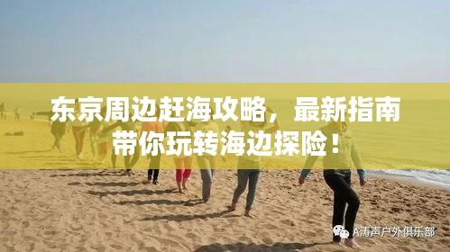 东京周边赶海攻略，最新指南带你玩转海边探险！