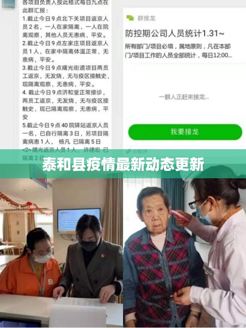 泰和县疫情最新动态更新