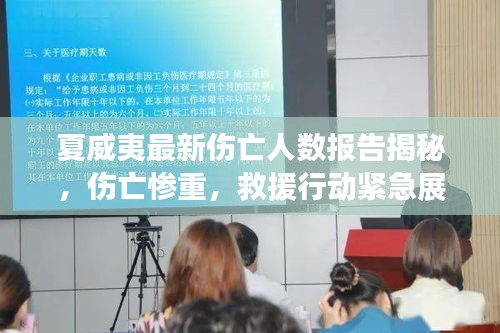 夏威夷最新伤亡人数报告揭秘，伤亡惨重，救援行动紧急展开！