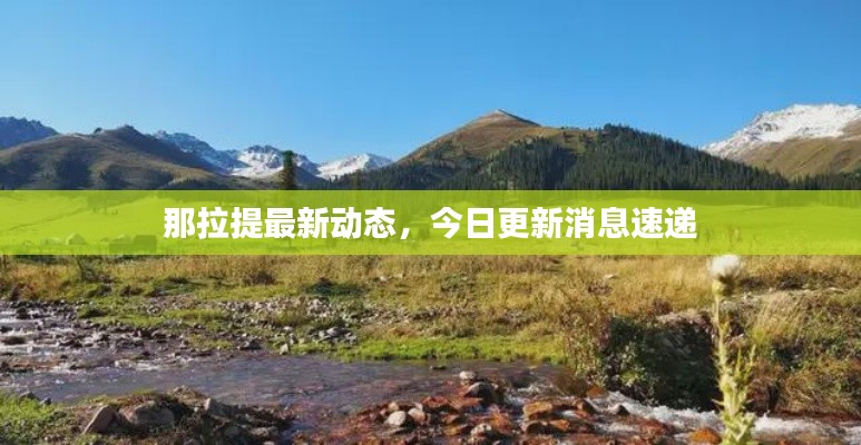 那拉提最新动态，今日更新消息速递