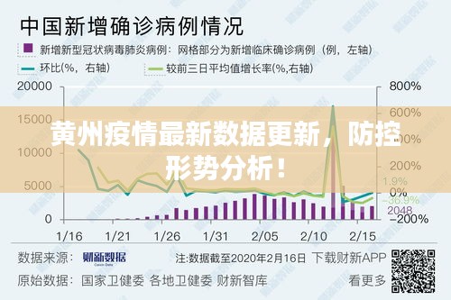 黄州疫情最新数据更新，防控形势分析！