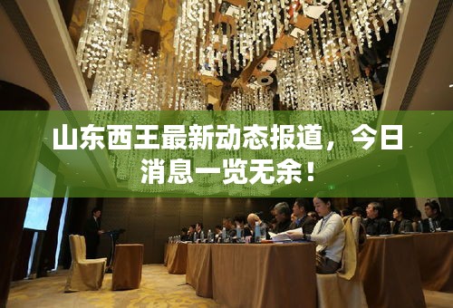 山东西王最新动态报道，今日消息一览无余！