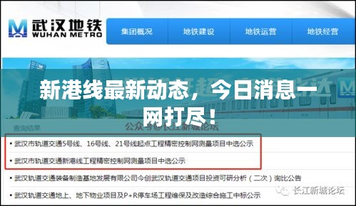 新港线最新动态，今日消息一网打尽！