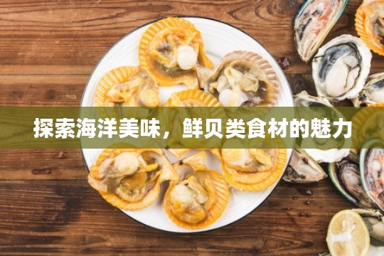 探索海洋美味，鲜贝类食材的魅力