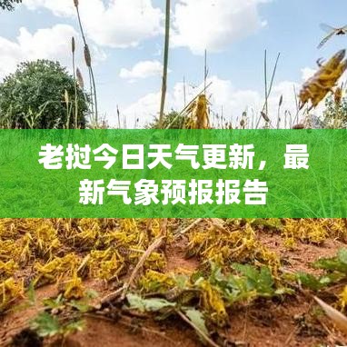 老挝今日天气更新，最新气象预报报告