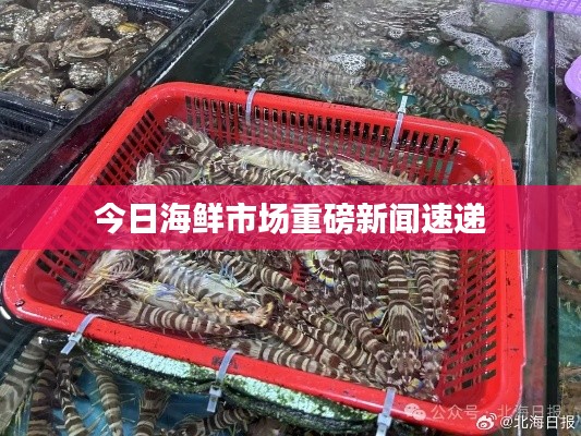 今日海鲜市场重磅新闻速递
