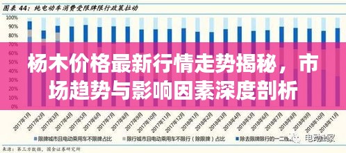 杨木价格最新行情走势揭秘，市场趋势与影响因素深度剖析