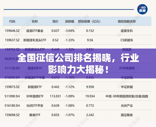全国征信公司排名揭晓，行业影响力大揭秘！