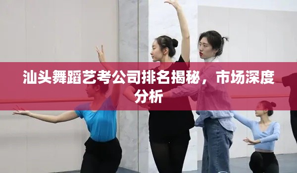 汕头舞蹈艺考公司排名揭秘，市场深度分析