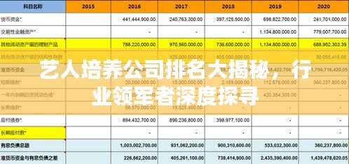 艺人培养公司排名大揭秘，行业领军者深度探寻