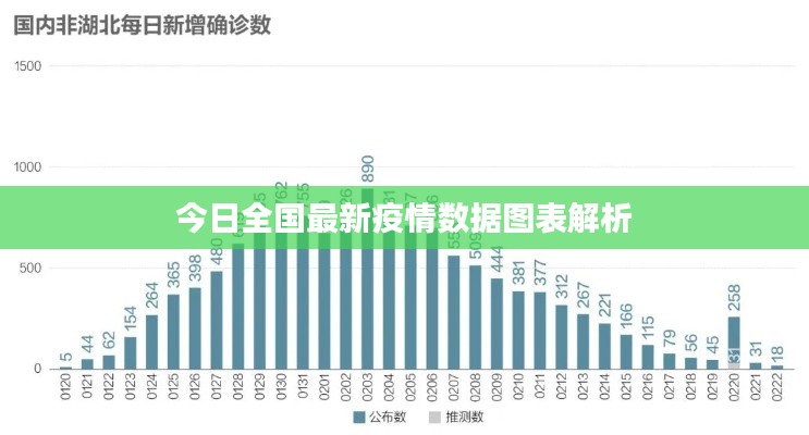 今日全国最新疫情数据图表解析